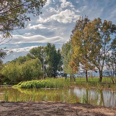 Vila La Illeta Deltebre Exteriér fotografie