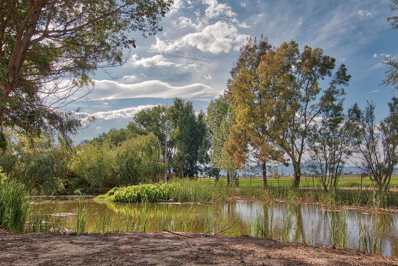Vila La Illeta Deltebre Exteriér fotografie
