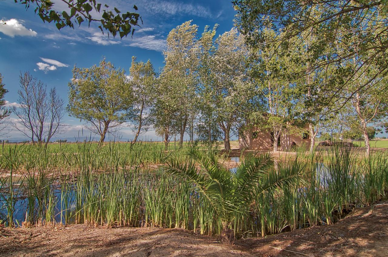 Vila La Illeta Deltebre Exteriér fotografie