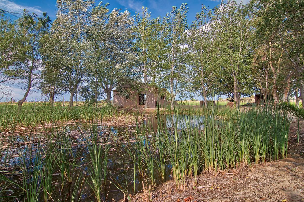 Vila La Illeta Deltebre Exteriér fotografie